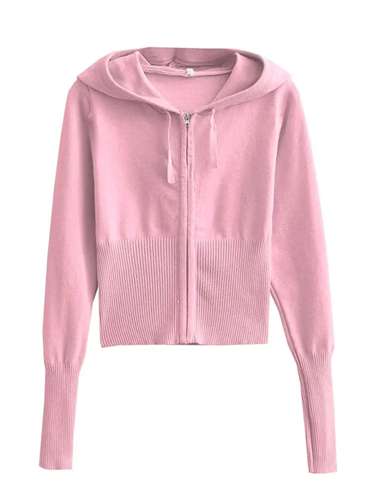 Knit Zipper Hooded Top And Pants Set