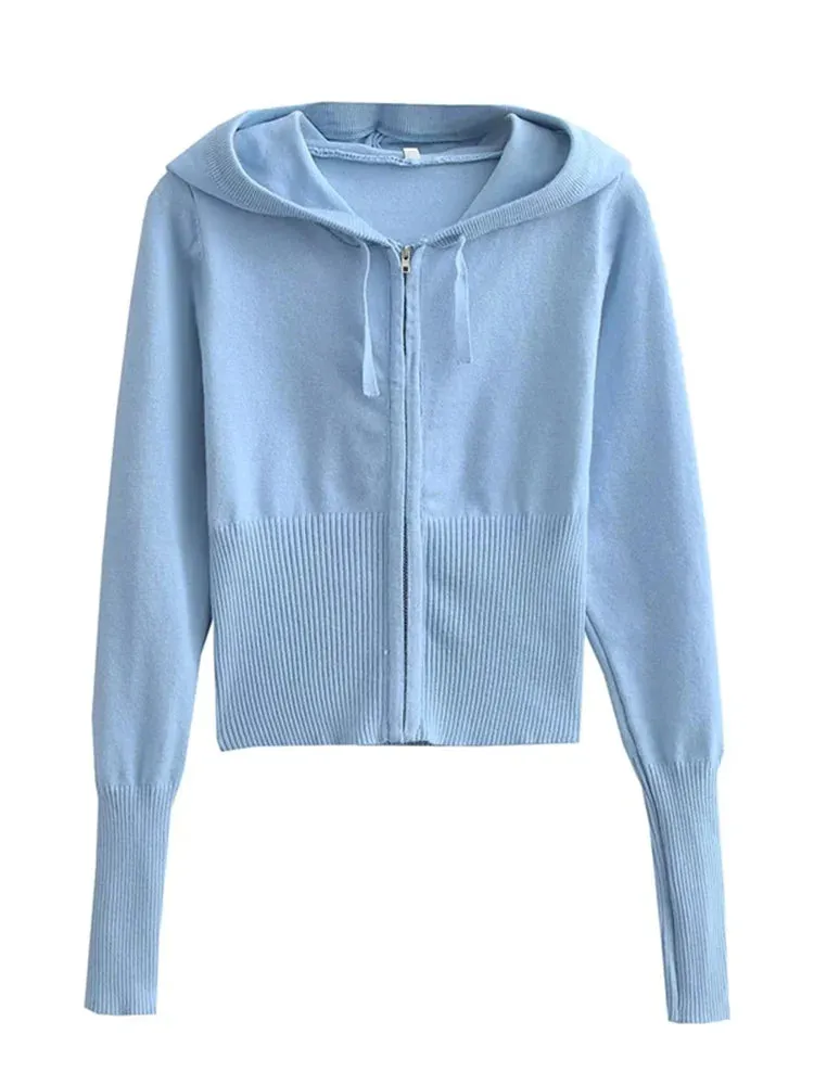 Knit Zipper Hooded Top And Pants Set