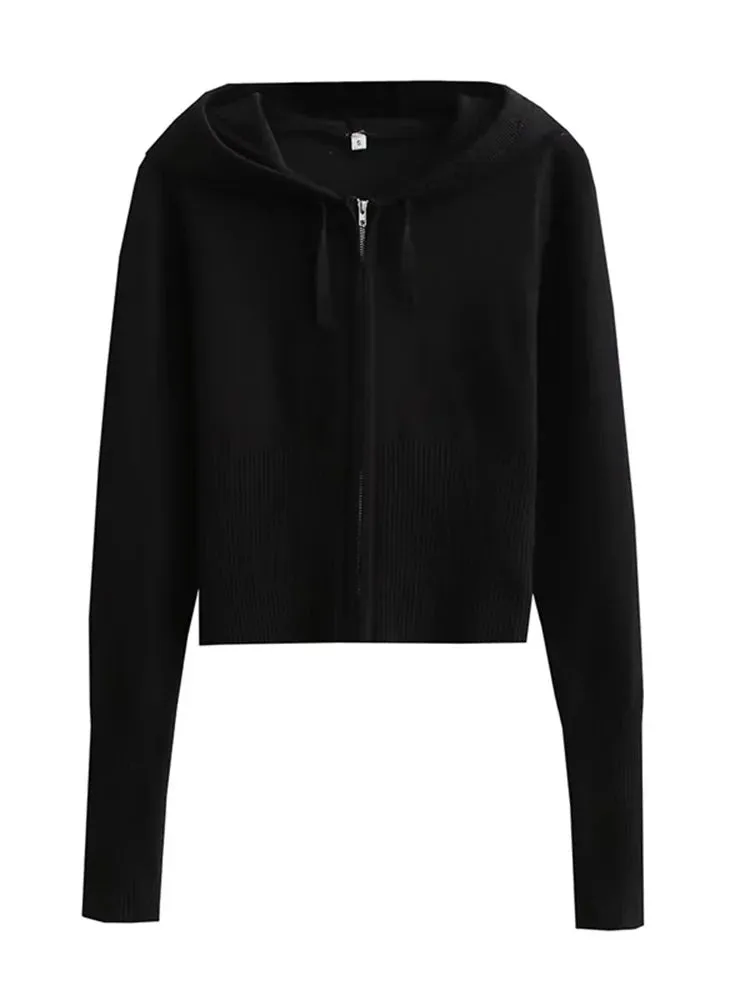 Knit Zipper Hooded Top And Pants Set